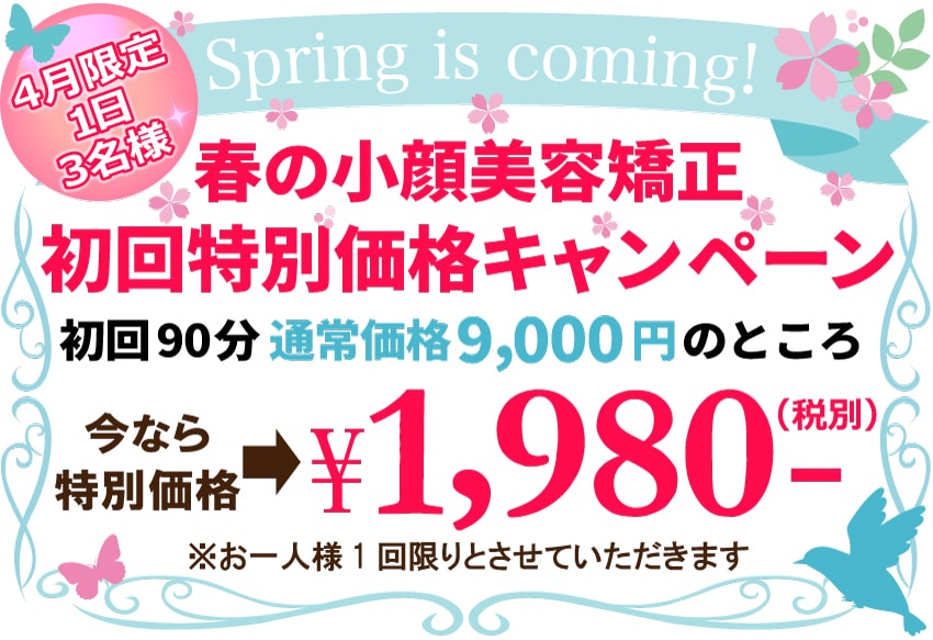 スプリングキャンペーン